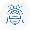 Bed Bug Extermination In Beckton