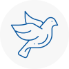 Bird Prevention Beckton