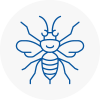 Beckton Hornet Nest Removals