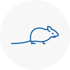 Mice Exterminators In Beckton