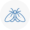 Moth Control Specialists In Beckton