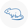 Rat Control Beckton