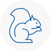 Beckton Rodent Removals