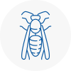 Beckton Wasp Nest Removal